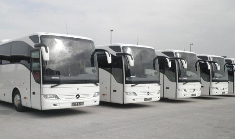 Leinster: Bus company in Carlow in Carlow and Ireland